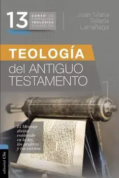 Teología del Antiguo Testamento, Paperback/Juan María Tellería Larrañaga