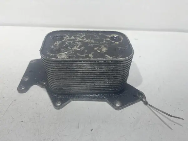 Termoflot 059117021h Audi A6 (2004-2011) [4F2, C6] 3.0 tdi bmk