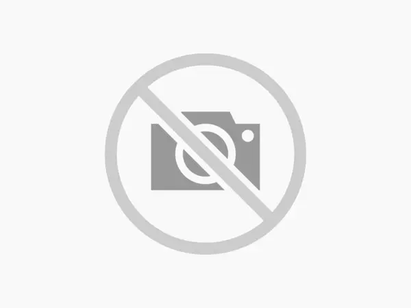 Termostat A6422000215 Mercedes S-Class (2005-2009) [W221] 320 cdi