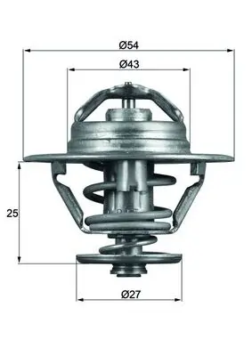 Termostat lichid racire (74 C) potrivit IVECO DAILY I, DAILY II; RVI B, MASCOTT, MESSENGER; FIAT 131, 132, DUCATO; LANCIA THEMA; OPEL ARENA; RENAULT MASTER I, TRAFIC 2.0D-2.8D 01.78-06.04