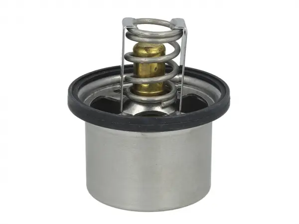 Termostat lichid racire (75 C, cu garnitura) potrivit DAF 95 WS225-WS315M 09.87-01.98