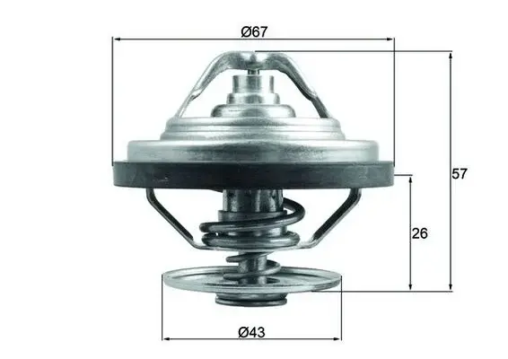 Termostat lichid racire (79 C, cu garnitura) potrivit MAN HOCL, LION S CITY, NG, NL, SL II, SU, TGA, TGS I, TGX I, TGX II; FAP A; NEOPLAN CITYLINER II, TOURLINER I D2066LF01-D2676LFAE 12.00-