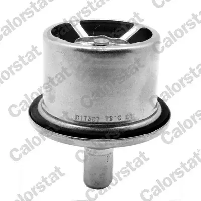 Termostat lichid racire (87 C, cu garnitura) potrivit DAF 75 CF, 85 CF, 95 XF, CF 75, CF 85, XF 105, XF 95; SOLARIS URBINO I, URBINO II MX265-XF355M 01.97-