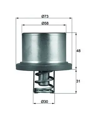 Termostat lichid racire (89 C) potrivit PORSCHE CAYENNE 3.6 4.8 02.07-09.10