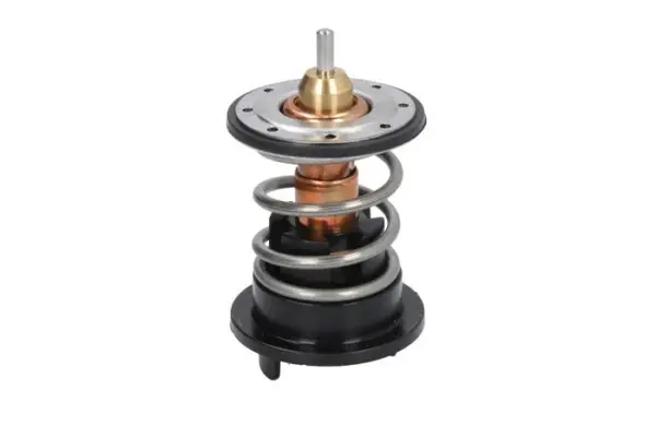 Termostat lichid racire (89 C) SKODA SUPERB II; VW CC, EOS, PASSAT, PASSAT CC, TOUAREG 3.6 intre 2008-2018