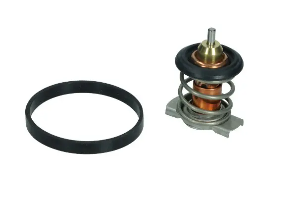 Termostat, lichid racire CALORSTAT by Vernet TH9200.88J