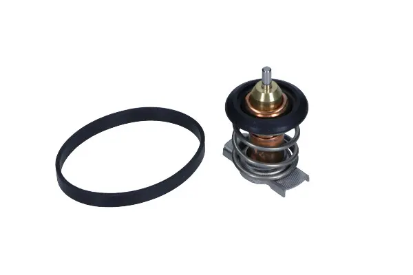 Termostat, lichid racire CALORSTAT by Vernet TH9283.88J