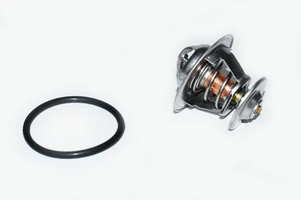 termostat,lichid racire DENKAI DK33069