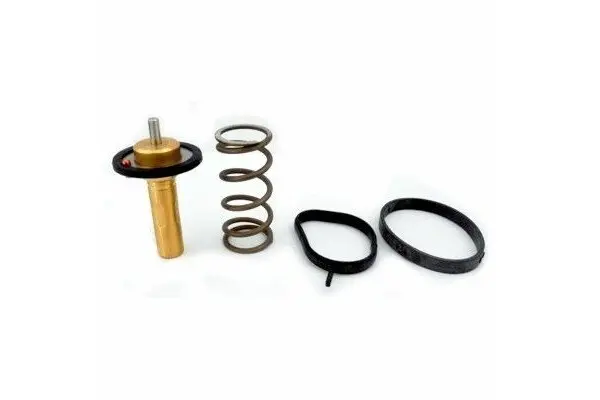 Termostat, lichid racire Meat & Doria 92839