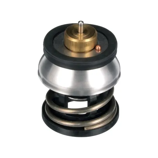 termostat,lichid racire OE BMW 11518588945