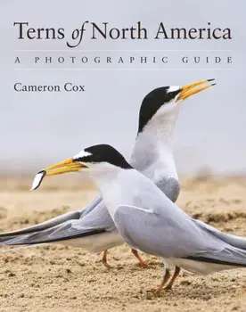 Terns of North America. A Photographic Guide, Paperback/Cameron Cox