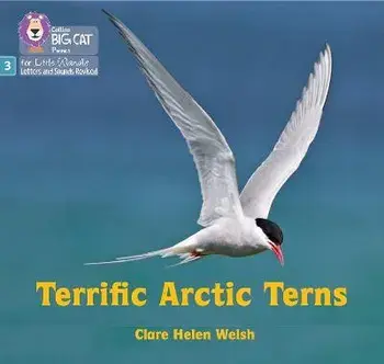 Terrific Arctic Terns. Phase 3 Set 2, Paperback/Clare Helen Welsh