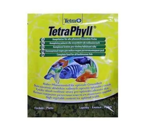 Tetra Phyll 100 ml