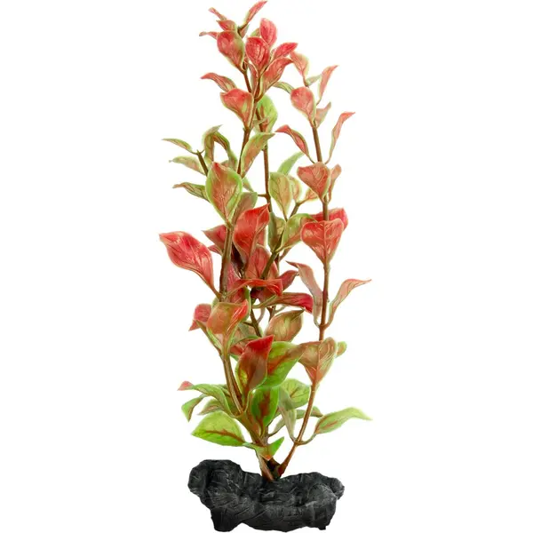 TETRA PLANTA DECOART RED LUDWIGIA M 30 CM