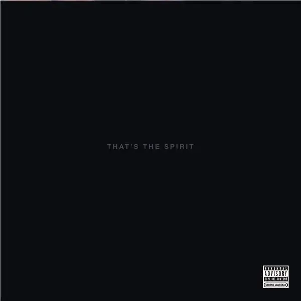 That's the Spirit - Vinyl + CD | Bring Me the Horizon