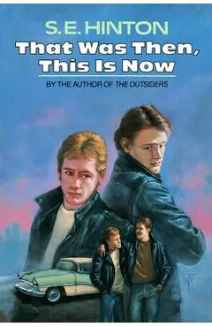 That Was Then, This Is Now - S. E. Hinton