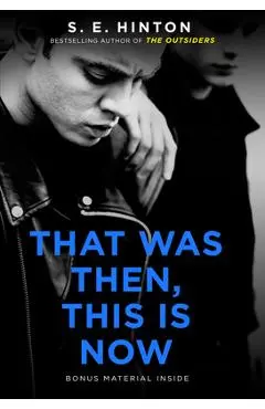 That Was Then, This Is Now - S. E. Hinton