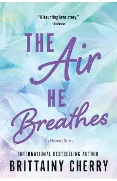 The Air He Breathes - Brittainy Cherry