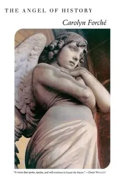 The Angel of History - Carolyn Forche