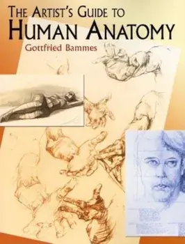 The Artist's Guide to Human Anatomy, Paperback/Gottfried Bammes