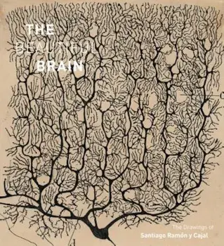 The Beautiful Brain: The Drawings of Santiago Ramon y Cajal, Hardcover/Larry W. Swanson