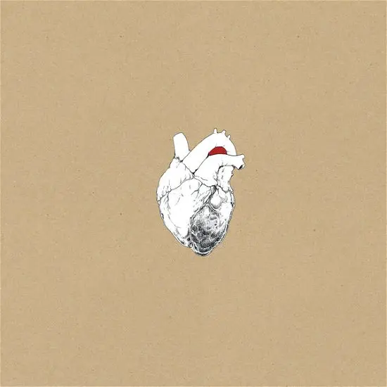 The Beggar | Swans