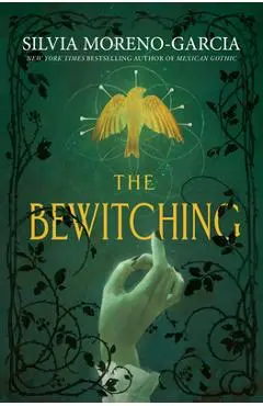 The Bewitching - Silvia Moreno-garcia