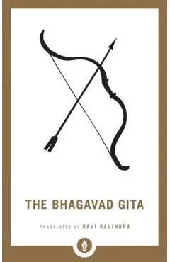 The Bhagavad Gita - Ravi Ravindra