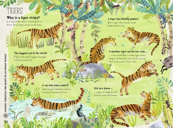 The Big Book of Beasts | Yuval Zommer, Barbara Taylor