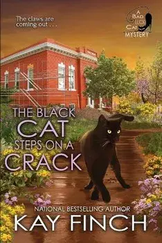 The Black Cat Steps on a Crack, Paperback/Kay Finch
