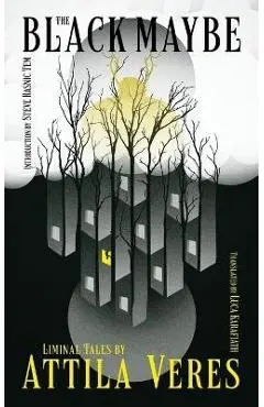 The Black Maybe: Liminal Tales - Attila Veres