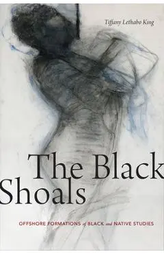The Black Shoals: Offshore Formations of Black and Native Studies - Tiffany Lethabo King