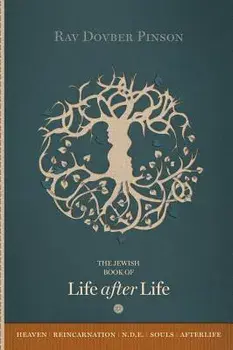The Book of Life After Life, Hardcover/DovBer Pinson