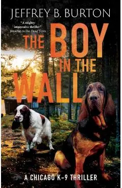 The Boy in the Wall - Jeffrey B. Burton