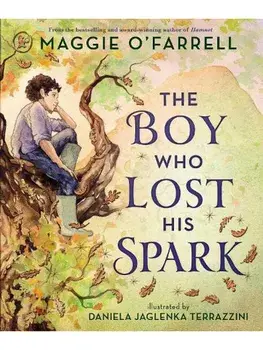 The Boy Who Lost His Spark, Paperback/Maggie O'Farrell