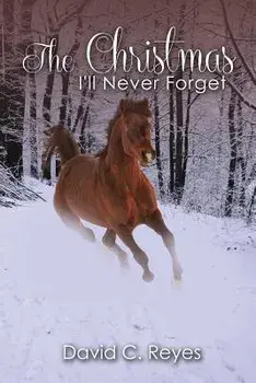 The Christmas I'll Never Forget, Paperback/David Reyes