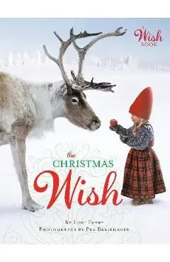 The Christmas Wish - Lori Evert