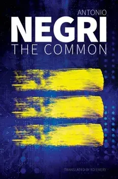 The Common, Paperback/Antonio (University of Padua) Negri