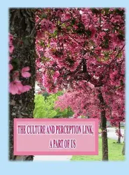 The Culture and Perception Link: A Part of Us, Hardcover/Rowena Kong