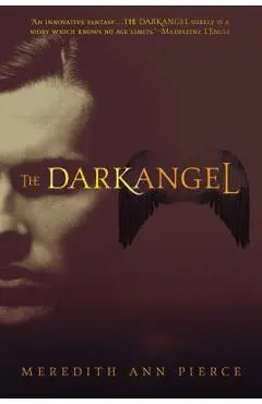 The Darkangel - Meredith Ann Pierce