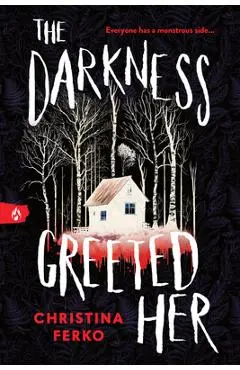 The Darkness Greeted Her - Christina Ferko