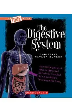 The Digestive System - Christine Taylor-butler