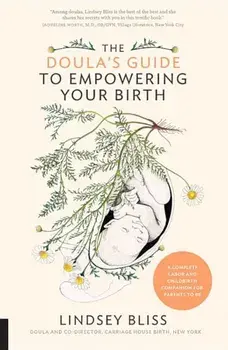 The Doula's Guide to Empowering Your Birth: A Complete Labor and Childbirth Companion for Parents to Be, Paperback/Lindsey Bliss