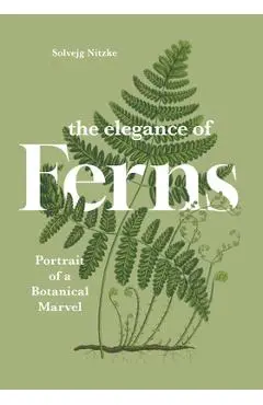 The Elegance of Ferns: Portrait of a Botanical Marvel - Solvejg Nitzke