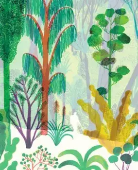 The Forest, Paperback/Riccardo Bozzi