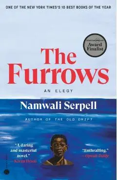 The Furrows - Namwali Serpell