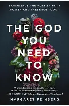 The God You Need to Know: Experience the Holy Spirit's Power and Presence Today - Margaret Feinberg