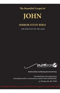 The Gospel of John: Mirror Study Bible - Francois Du Toit