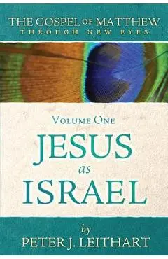 The Gospel of Matthew Through New Eyes Volume One: Jesus as Israel - Peter J. Leithart