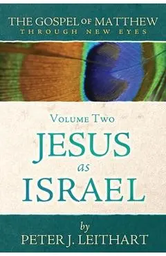 The Gospel of Matthew Through New Eyes Volume Two: Jesus as Israel - Peter J. Leithart